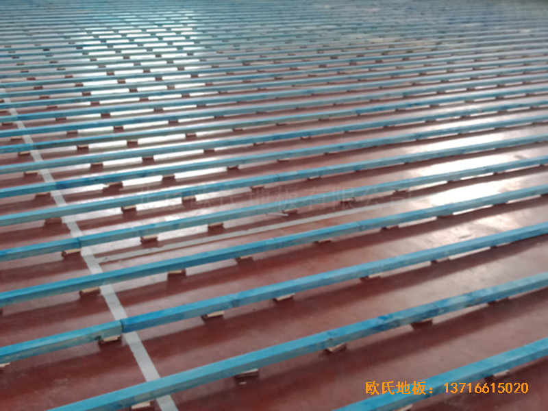 �ӱ������w���W(xu��)У�@���^�\��ľ�ذ尲�b����1