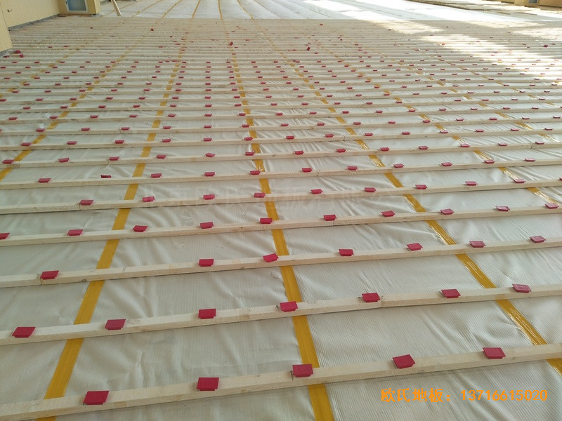 �������Ԏ����w���^�\(y��n)��(d��ng)�ذ���b����1