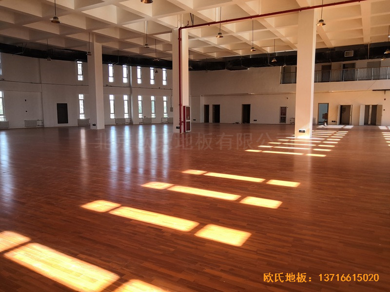 ������ɽ�L�С�WӖ���^�\�ӵذ���b����2