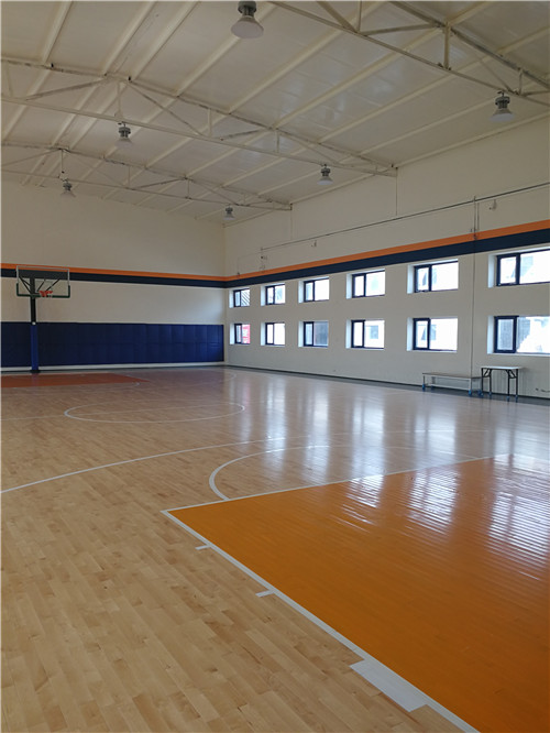 mmexport1520917827715.jpg mmexport1520917827715.jpg