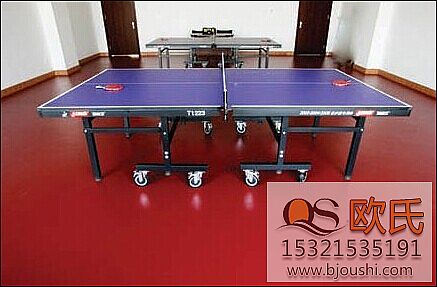 乒乓球地板 乒乓球地板