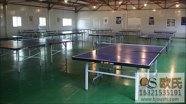 乒乓球地板 乒乓球地板