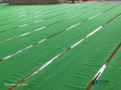 25厚運動體育地板要多少錢