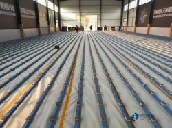 體育木地板廠家