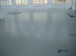 常見體育地板需要多少錢