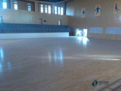 定做運動場館地板哪個牌子較好