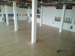 大學運動場木地板施工步驟