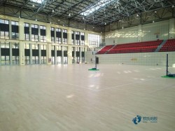 20厚籃球木地板哪個(gè)牌子好