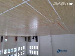 運動實木地板廠家