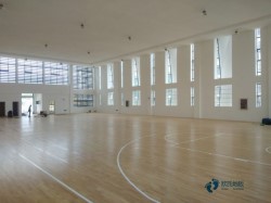 專業運動木地板價格