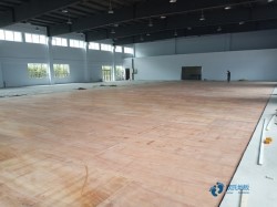 20\(yn)(dng)͵ذĂ(g)^