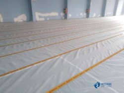 體育運(yùn)動(dòng)木地板發(fā)展前景