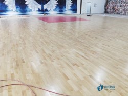 購買運(yùn)動(dòng)場(chǎng)地木地板較好的有哪些牌子