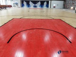 行業(yè)籃聯(lián)運(yùn)動木地板十大品牌