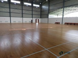 定做籃球木地板哪個牌子較環保