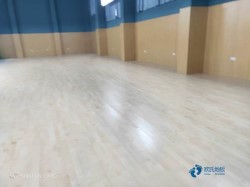 雙龍骨籃球場館木地板環(huán)保嗎