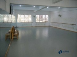 板式龍骨運動體育地板貴不貴