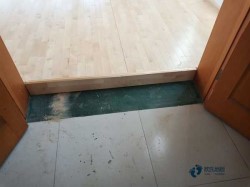 定制體育籃球木地板較好的品牌