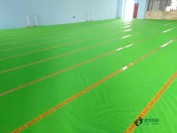 標準室內木地板籃球場