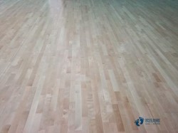 籃球館專用運動木地板