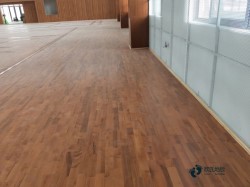 運動木地板有哪些廠家